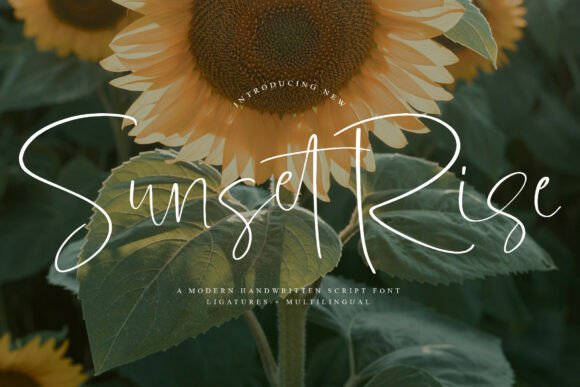 Choosing the Right Font for Your Brand: Sunsetrise in Action