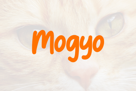 Mogyo: A Script Font That Elevates Digital Branding