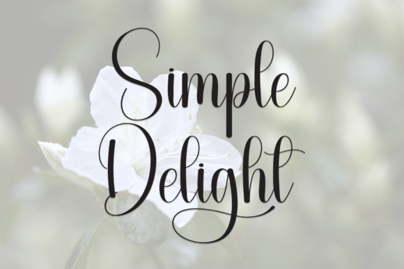 Simple Delight: A Font That Elevates Your Brand