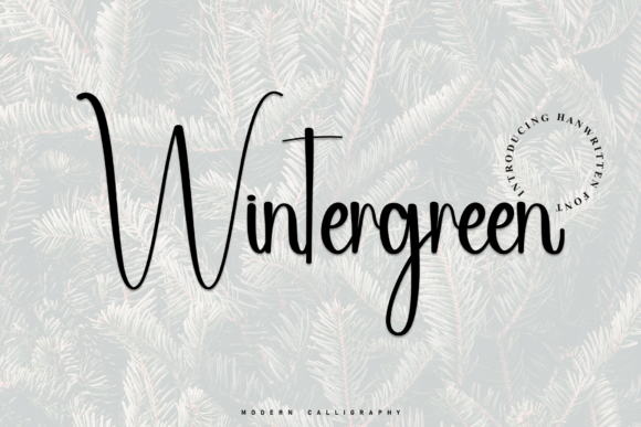 Wintergreen: A Refined Script Font for Small Business Branding